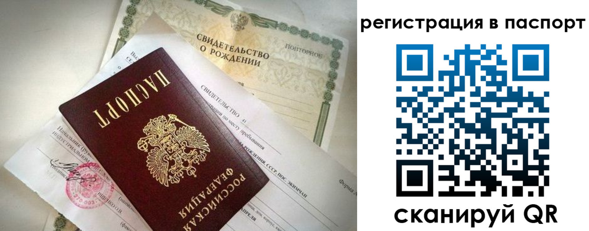 прописка гарантия в Елизово